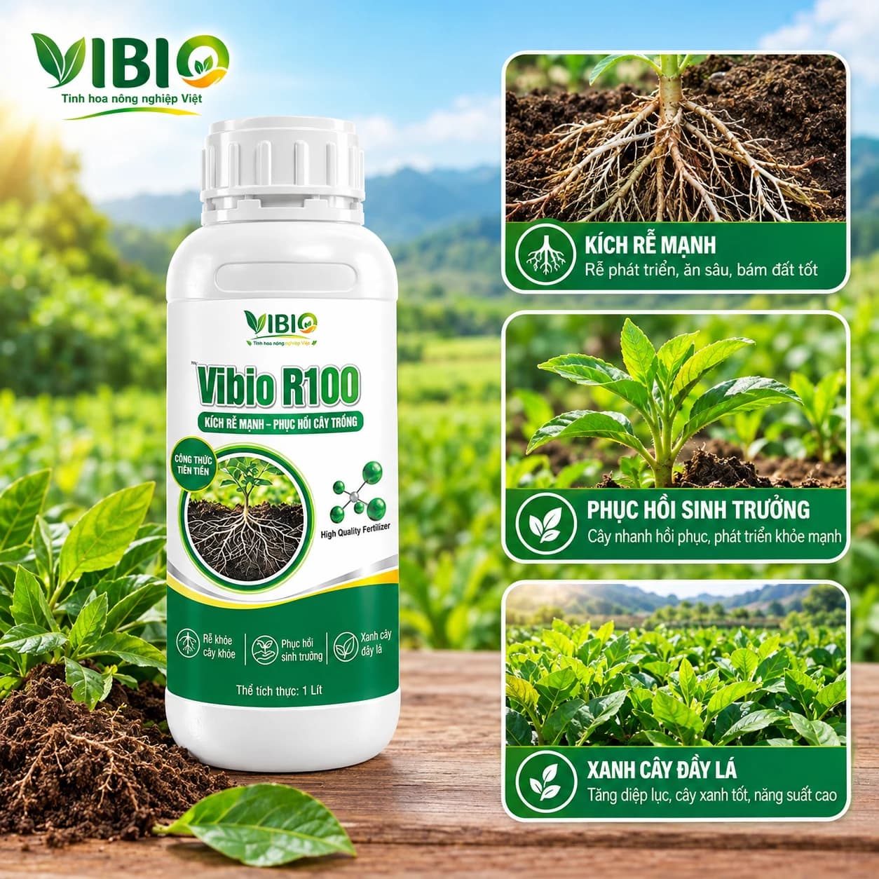 VIBIO R100 – Rễ khỏe cây sung, bật đà sinh trưởng